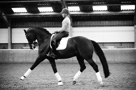 Wilco Kats Clinic
